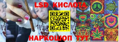 амф Краснознаменск