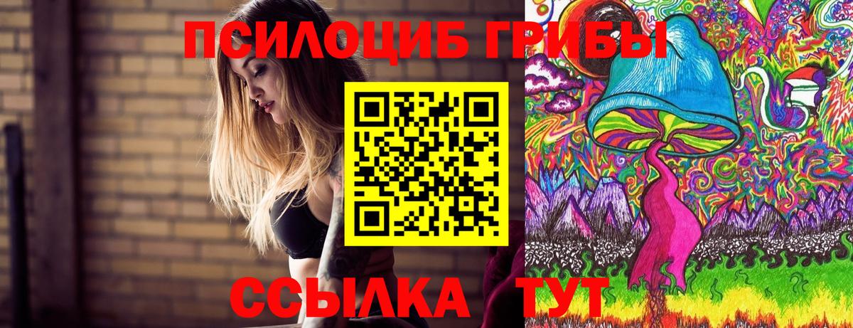 Галлюциногенные грибы Psilocybine cubensis Буйнакск